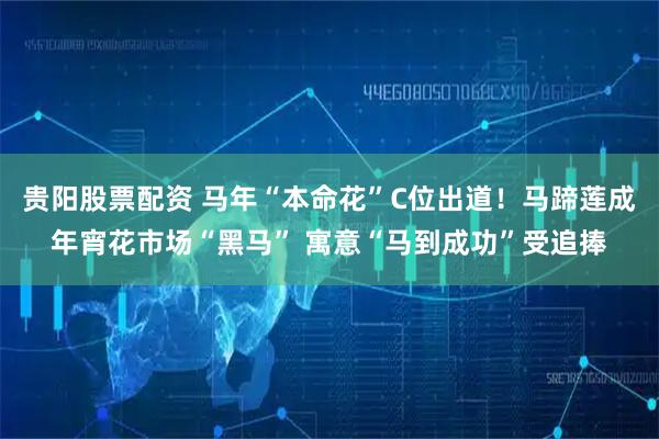 贵阳股票配资 马年“本命花”C位出道！马蹄莲成年宵花市场“黑马” 寓意“马到成功”受追捧